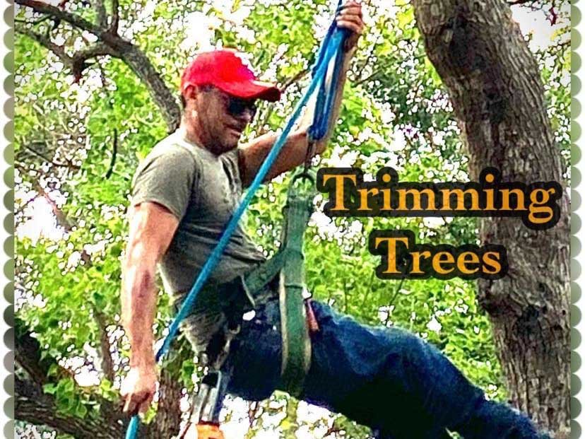 Aguilar Professional Fences